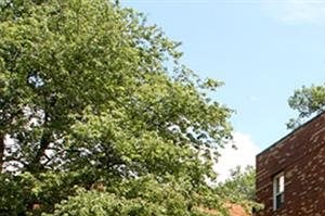 3539 A Street SE 1-3 Beds Apartment, Affordable for Rent - Photo Gallery 3